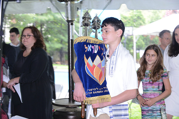 282 Gallo-GMStudios