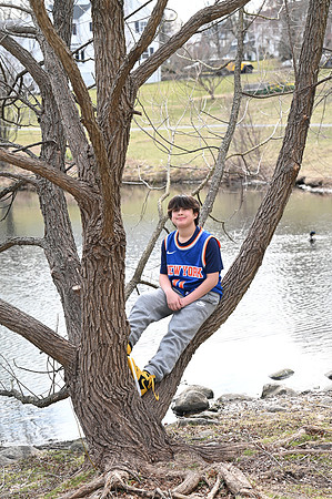 056 Rosendorf-GMStudios
