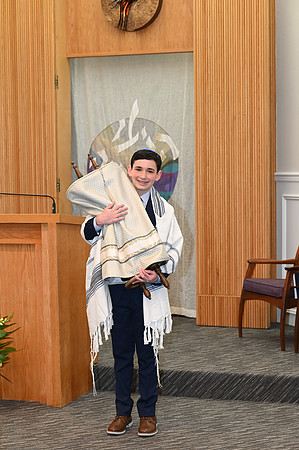 393 Weiner-GMStudios