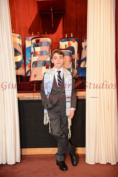 203 Pleeter-GMStudios