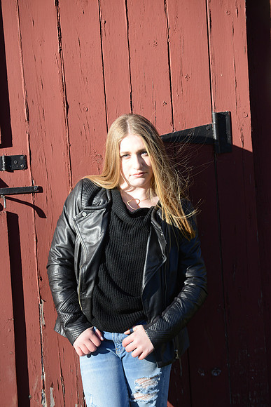 341 Bergman-GMStudios