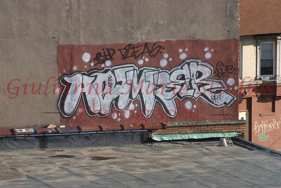 146 Greenberg_GMStudios