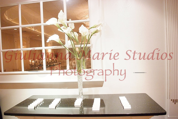 219 Mendelson-GMStudios