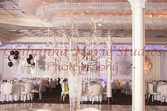 270 Mendelson-GMStudios