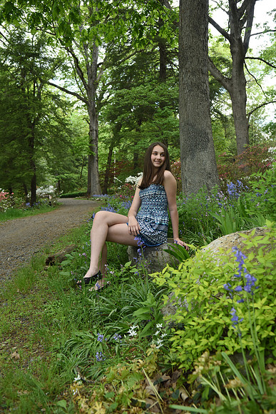 135 Reiser-GMStudios