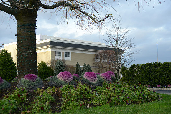191 Mendelson-GMStudios