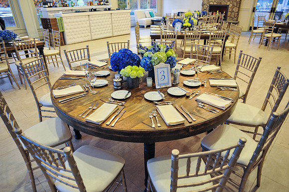 524 Levine-GMStudios