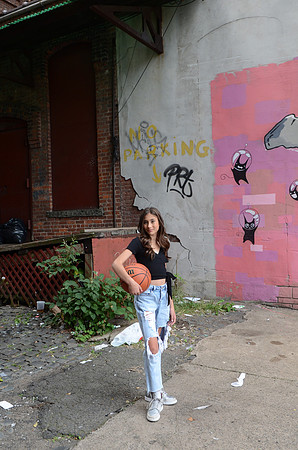 290 Levitt-GMStudios
