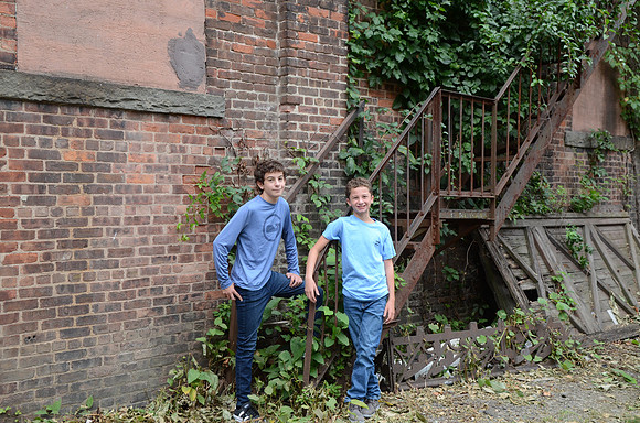 251 Weiner-GMStudios