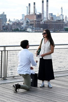 Ho proposal